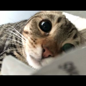 Meet your Posher, Jay